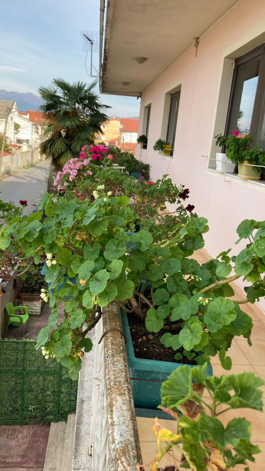 Blissful Hostel Shkodër Exterior foto